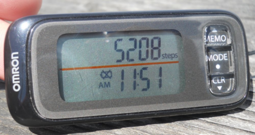 How to Change the Battery For Your Omron HJ303 Pedometer