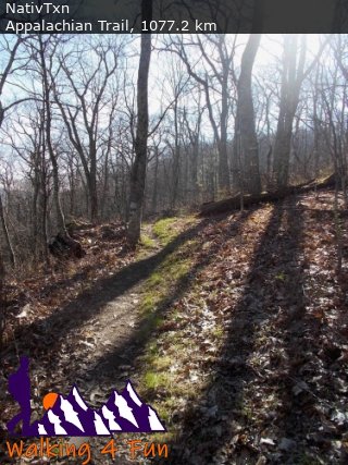 Walking4Fun Trail Location