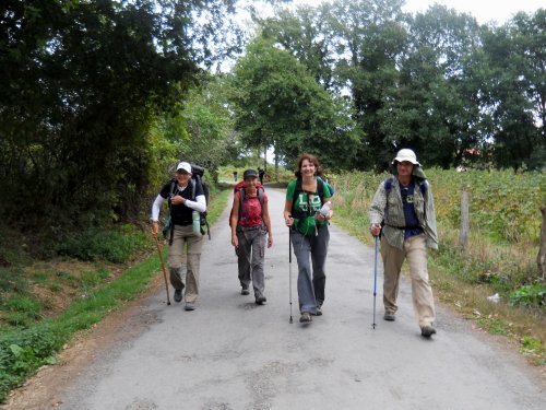 Pilgrims in action!