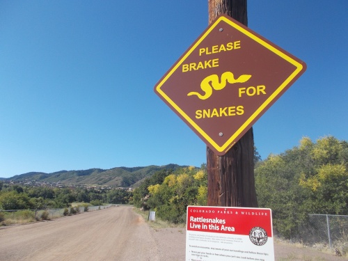 Brake for snakes