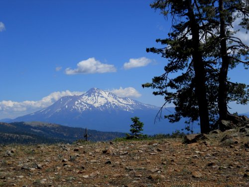 Mount Shasta dominates this region!