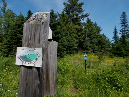 Waymarker on the trail