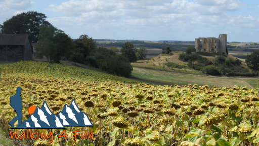 Fields of sunflowers growing in front of old ruins