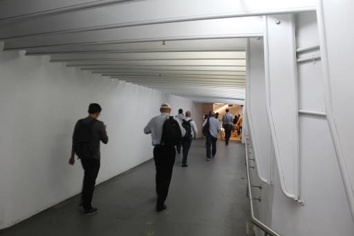 Wynyard Station