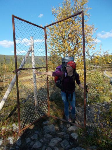 Gate in a Reindeer Fence