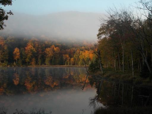 Ritterbush Pond