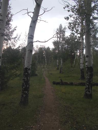 235.3&nbsp;miles