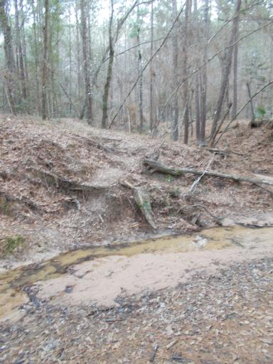 Briar Creek