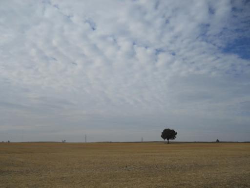 The flat and empty Meseta
