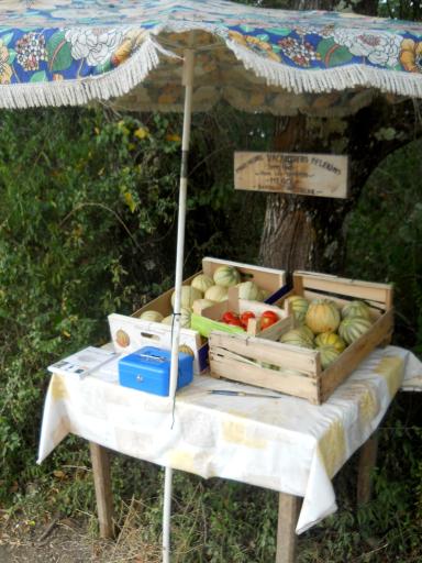 Pilgrim wayside fruitstand