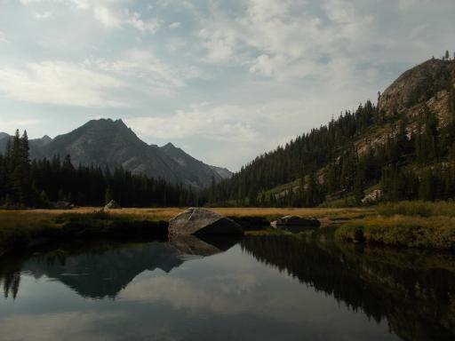 Beautiful meadows!