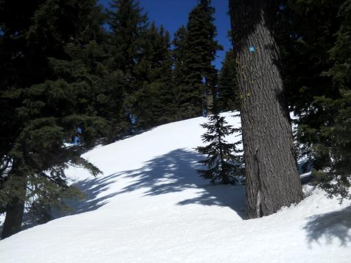 The Raven Trail