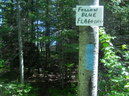 Blue flagging