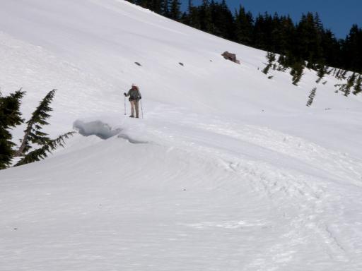 Avalanche zone under Applegate Peak