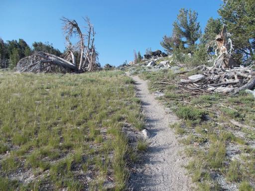 60.6&nbsp;miles