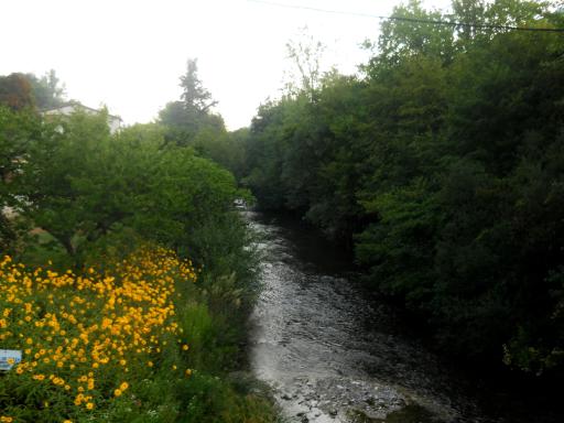 Over the River Arga