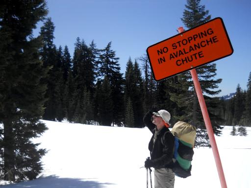Stupid tourists....
