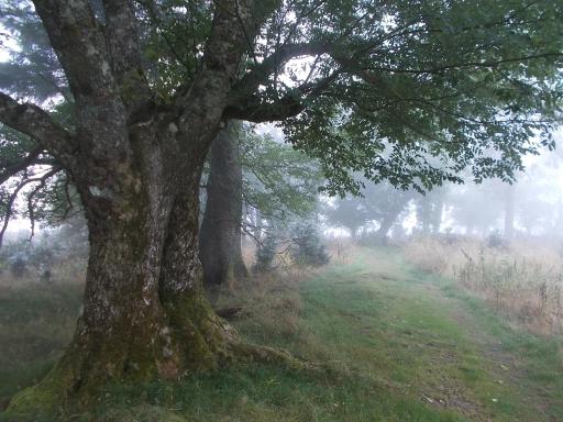 152.7&nbsp;miles