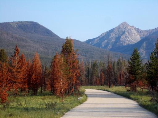 Rocky Mountain NP
