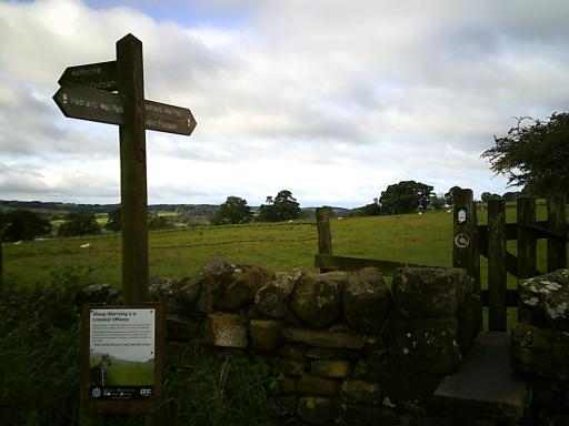 59.4&nbsp;miles