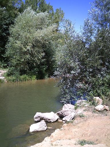 Bernesga River