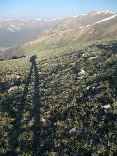 Long shadows....