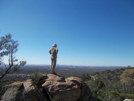 Green Tortuga admires the view