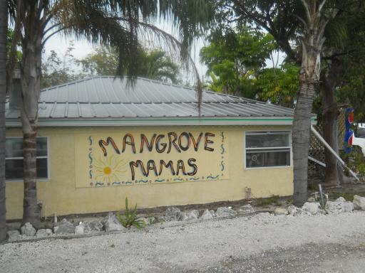 Mangrove Mamas