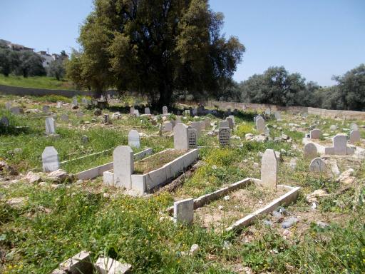 Jordanian Cemetery