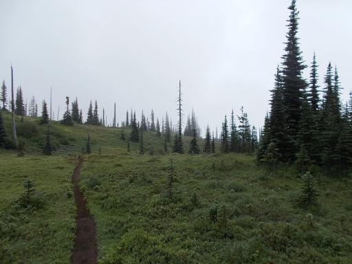 43.3&nbsp;miles