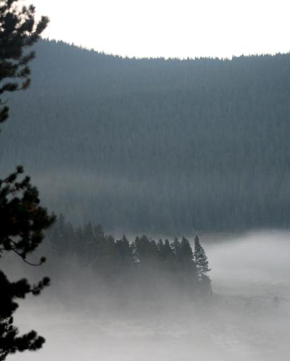 Morning fog