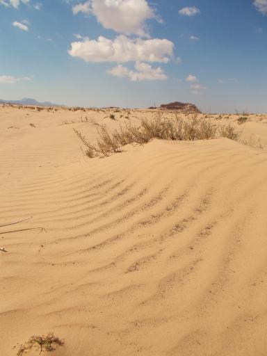 Wadi Rum