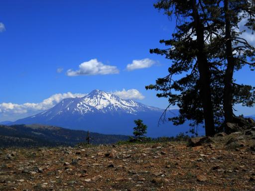 Mount Shasta dominates this region!