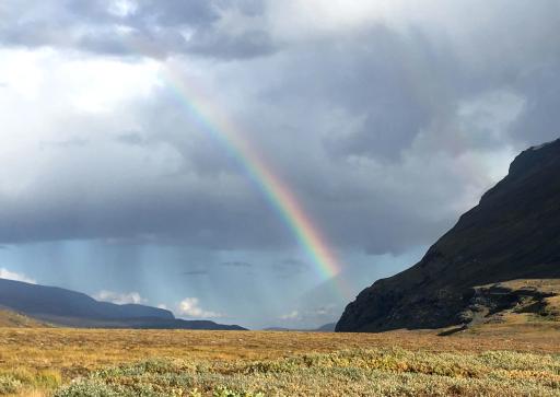 Rainbow on the trail!