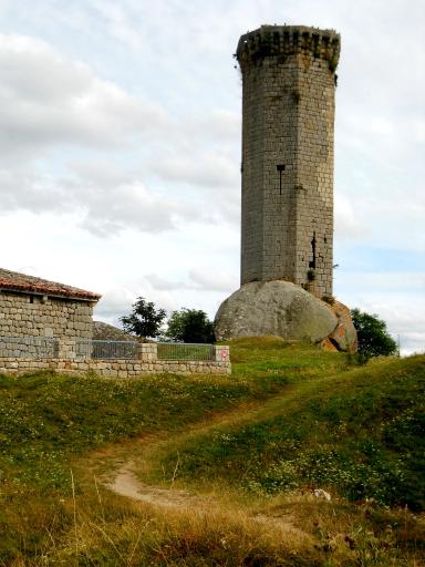 Freestanding Tower