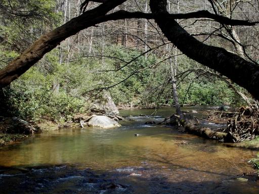 Laurel Fork