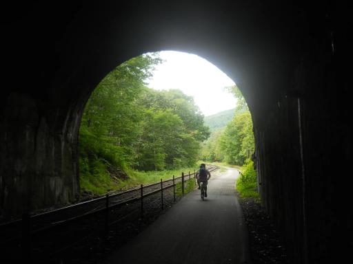 Exiting Brush Tunnel