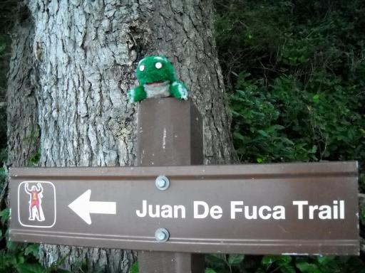 Juan de Fuca Trail signage