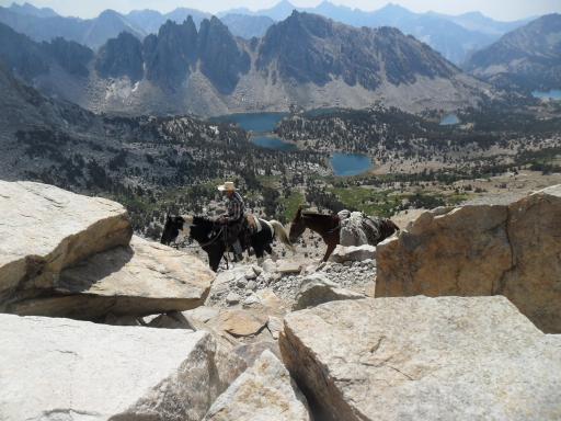 Horses at Kearsarge Pass