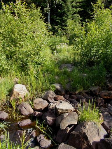 Carlson Creek