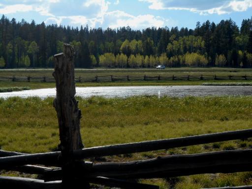 Crane Lake