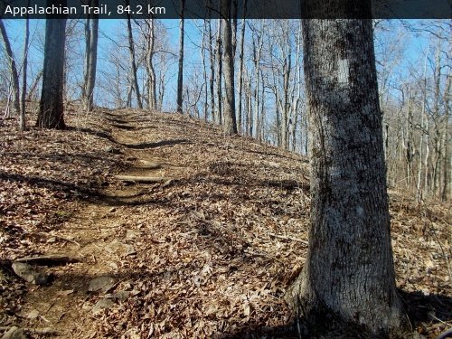 Walking 4 Fun Trail Location