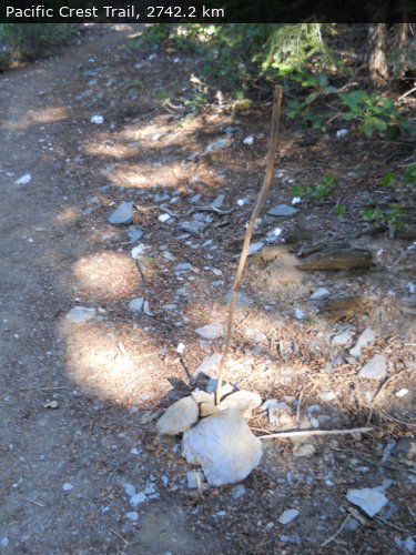Walking 4 Fun Trail Location
