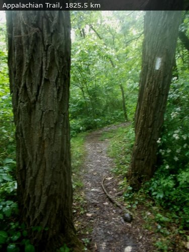 Walking 4 Fun Trail Location