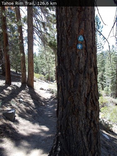 Walking 4 Fun Trail Location