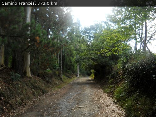 Walking 4 Fun Trail Location