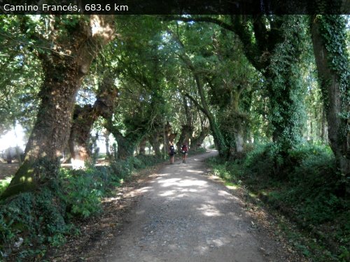 Walking 4 Fun Trail Location