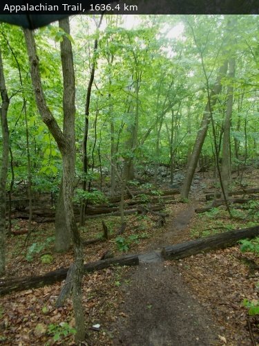 Walking 4 Fun Trail Location