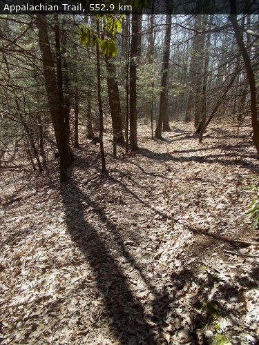 Walking 4 Fun Trail Location