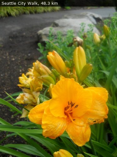 Walking 4 Fun Trail Location